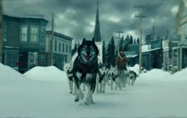 Najlepsze filmy o psim zaprzęgu, które poruszają serce i emocje