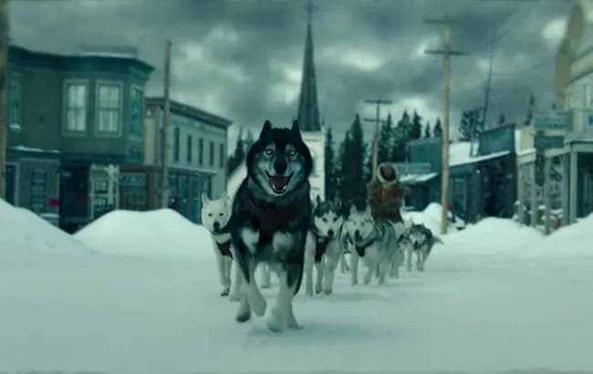 Najlepsze filmy o psim zaprzęgu, które poruszają serce i emocje