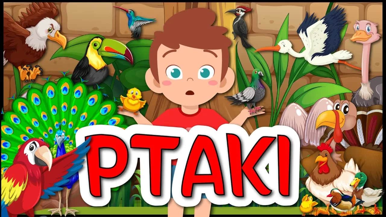 Ciekawe filmy o ptakach dla dzieci, które uczą o ich zwyczajach